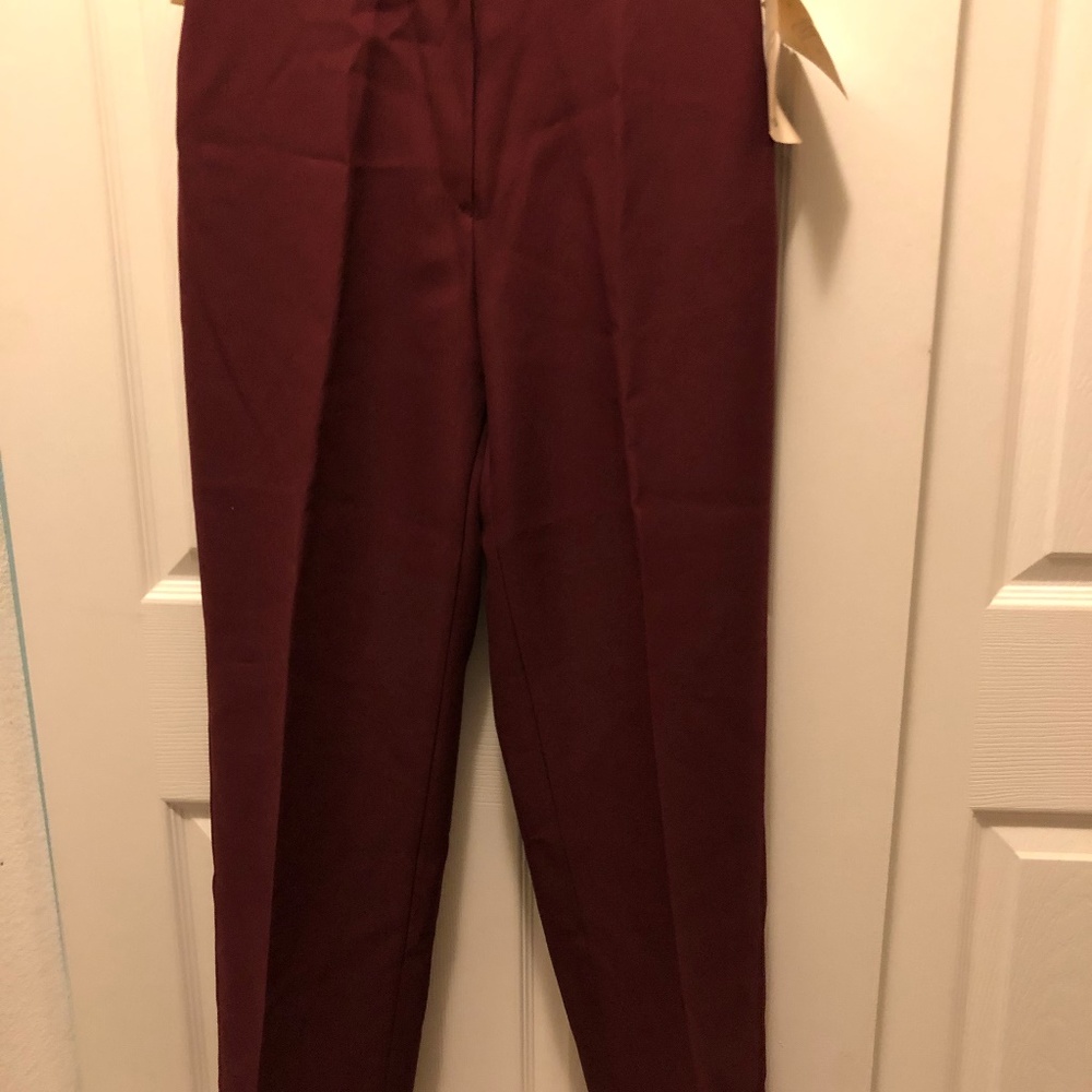 Brand New Dressing Pants